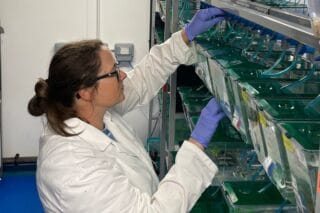 A woman with brown hair wearing a laboratory coat and safety gloves works in a laboratory.